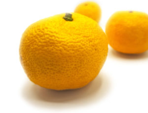 Read more about the article Nein, die Yuzu ist keine japanische Zitrone (Teil 1)