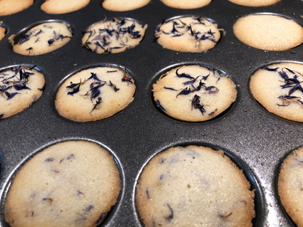 Biskuits mit blauen Kornblumen nach dem Backen