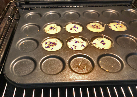 Biskuits mit blauen Kornblumen vor dem Backen