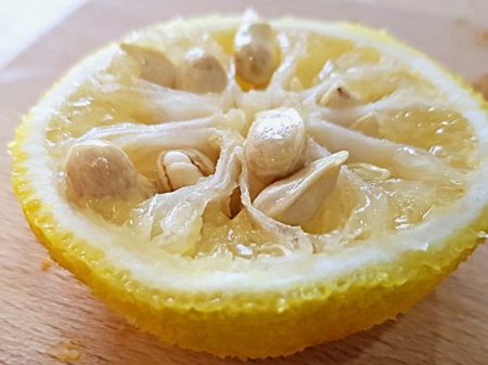 Yuzu aufgeschnitten mit Kernen