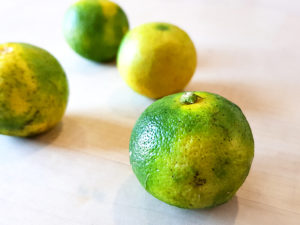 Read more about the article Die japanische Zitrusfrucht Sudachi – was macht man damit?