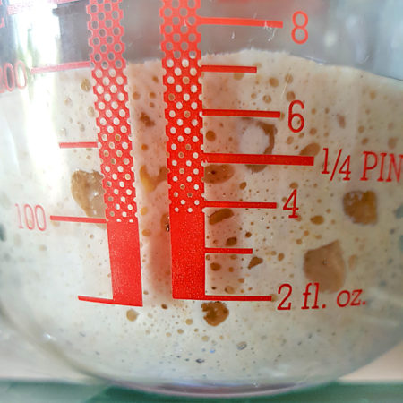 Lievito Madre in einem transparenten Messbecher