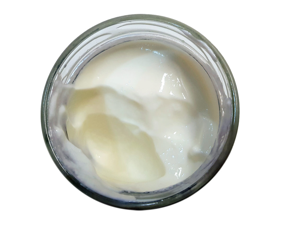 Bacillus Joghurt Starter Kultur DIY Natürlicher probiotischer Joghurt E8K9 