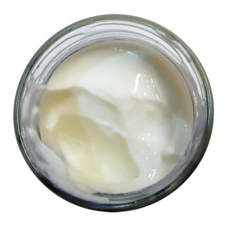 Stichfester Greek Style Heirloom-Joghurt-Starter von Bacillus Bulgaricus